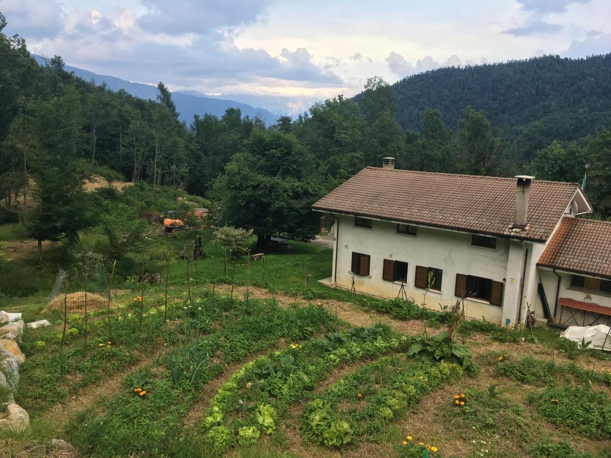 Bosco Delle Rune ..Un Angolo Di Paradiso Platischis Exterior foto